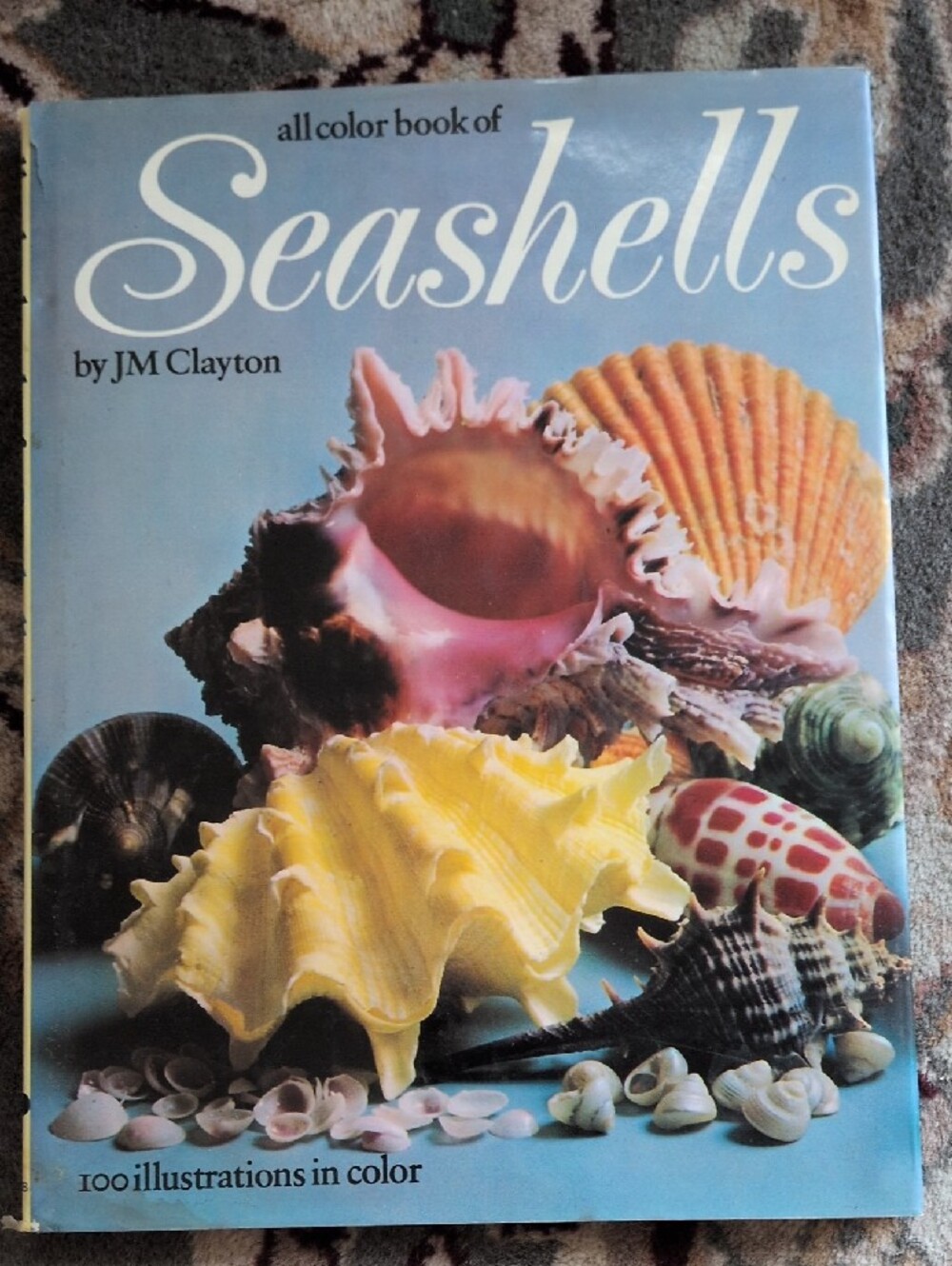 Assorted Art Books - Picture 6 of 8